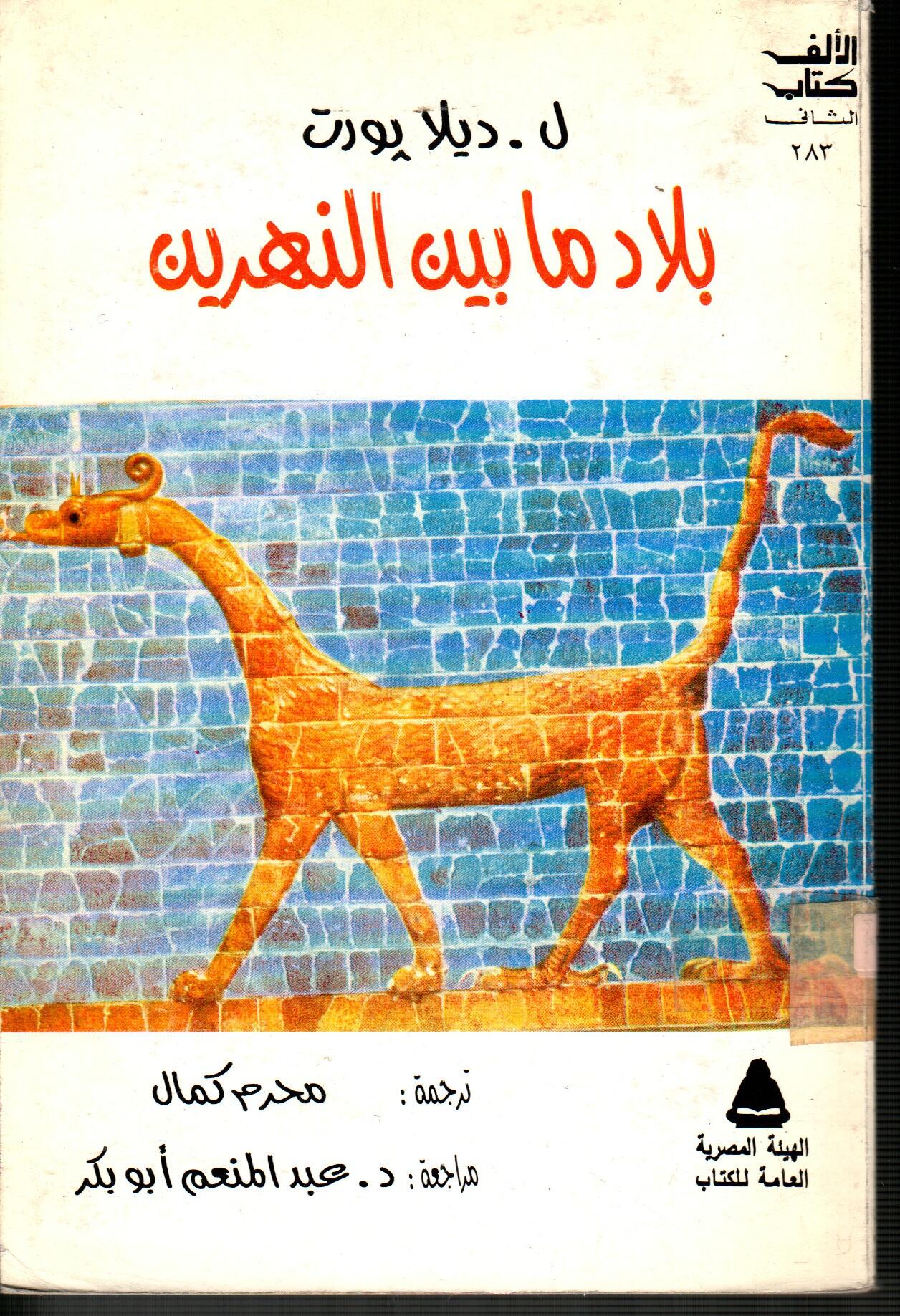 بلاد ما بين النهرين