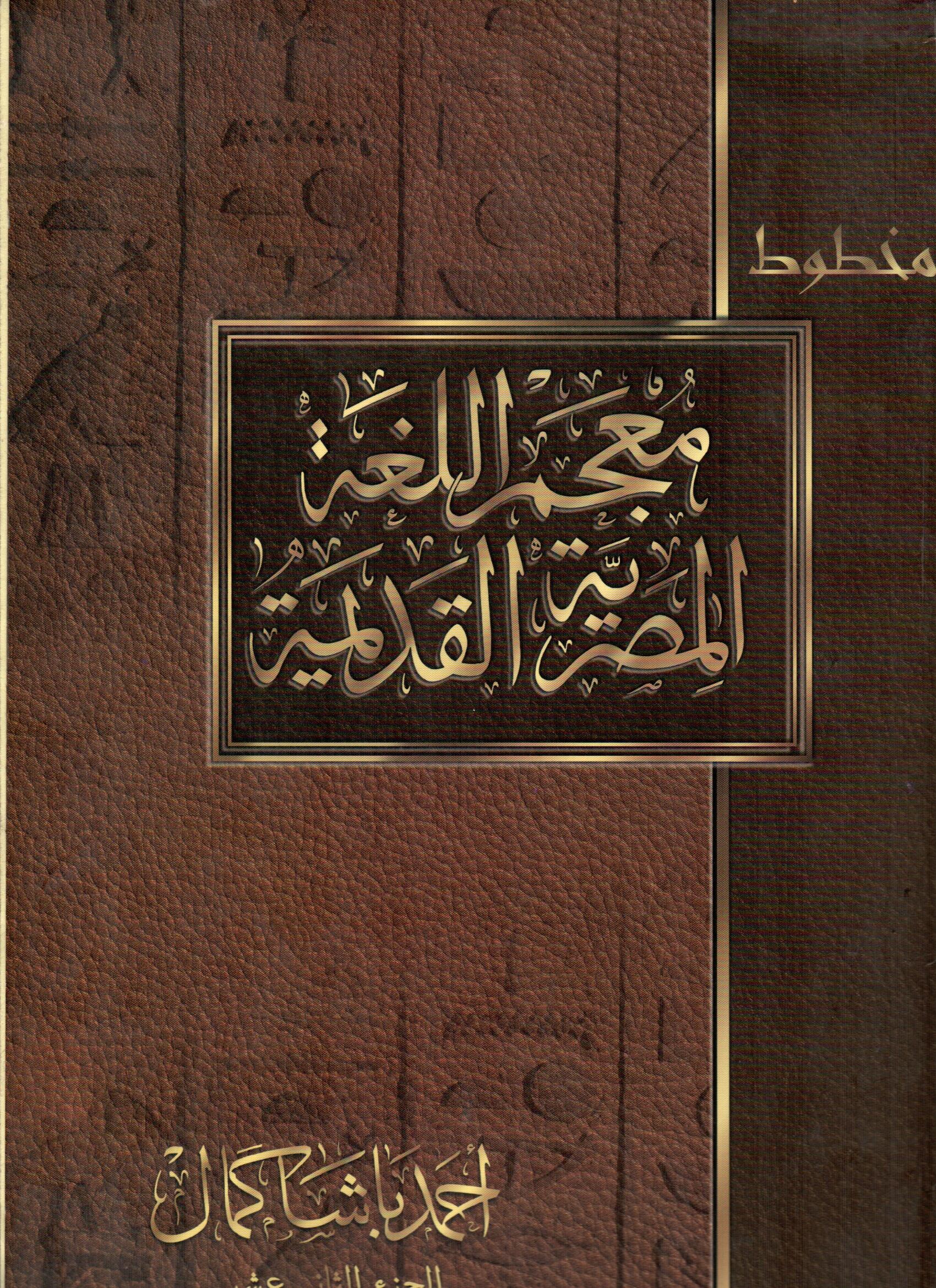 معجم اللغة المصرية القديمة(الجزء الثانى عشر)