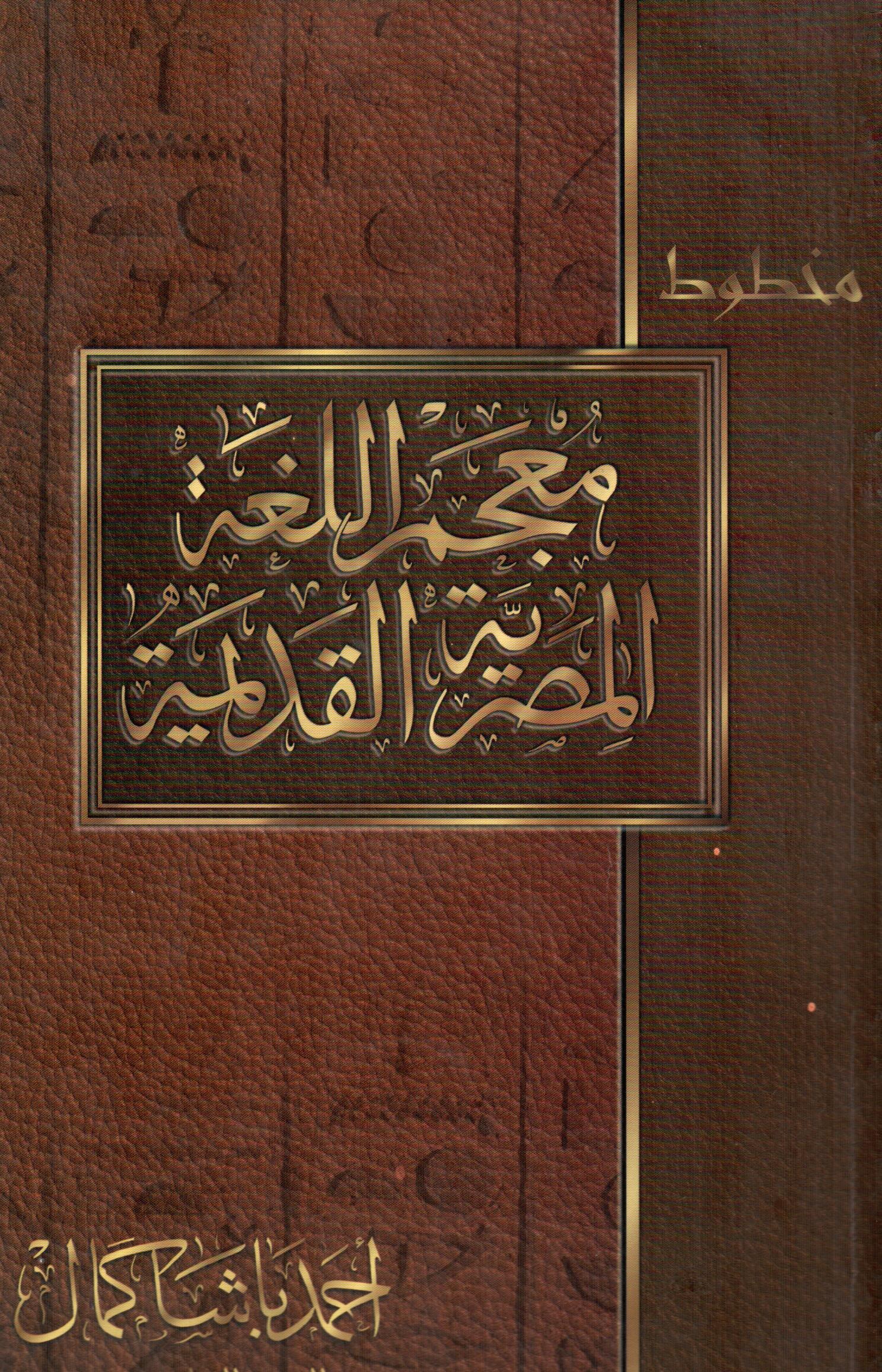 معجم اللغة المصرية القديمة(الجزء الحادى عشر)