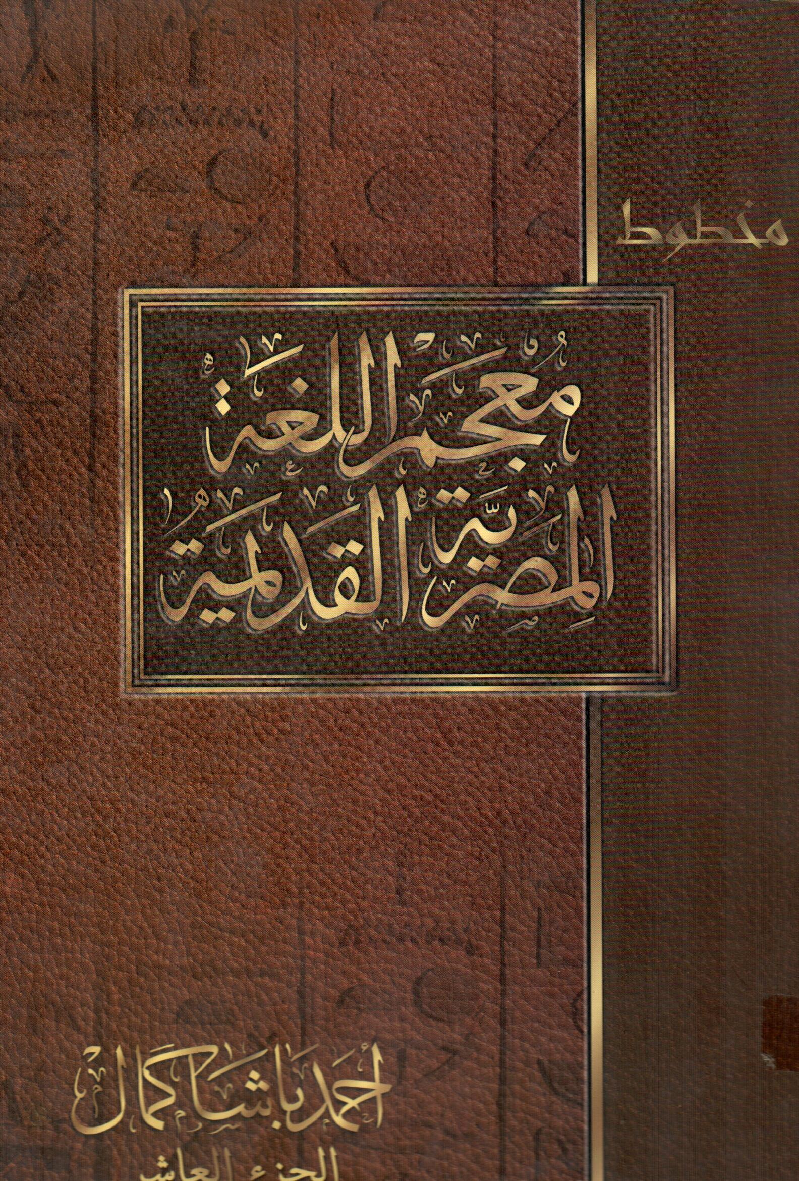 معجم اللغة المصرية القديمة(الجزء العاشر)