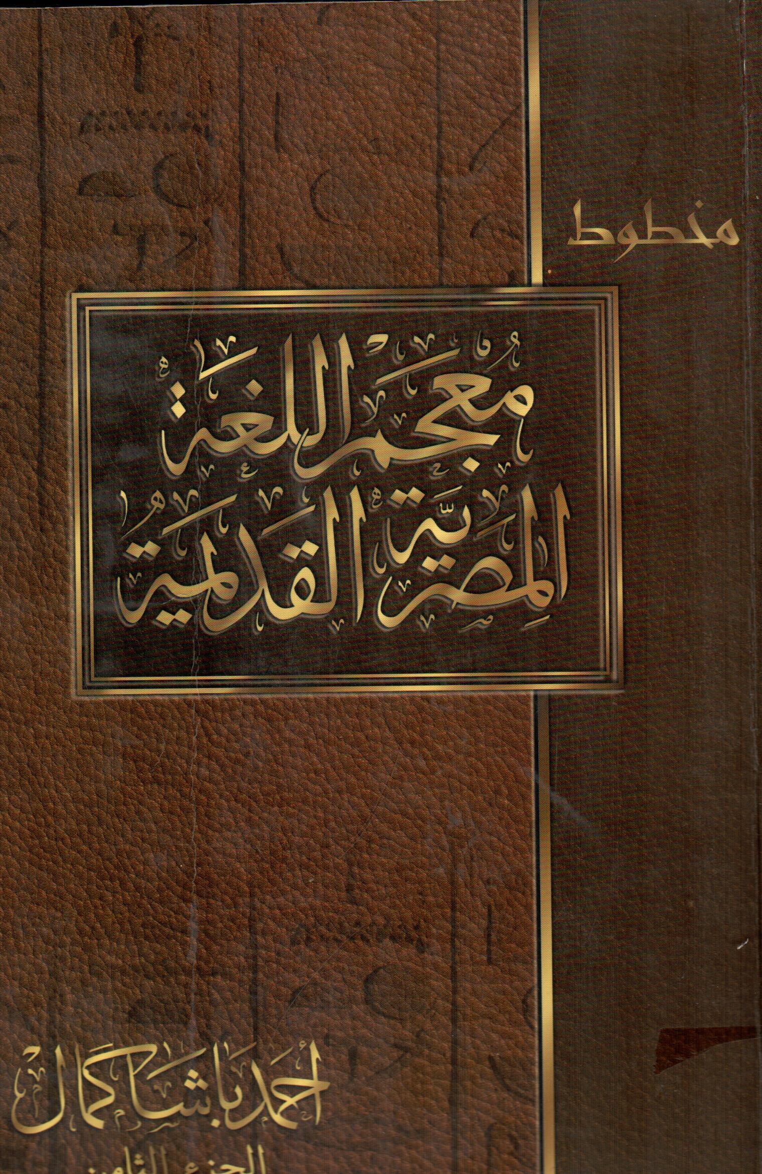 معجم اللغة المصرية القديمة(الجزء الثامن)