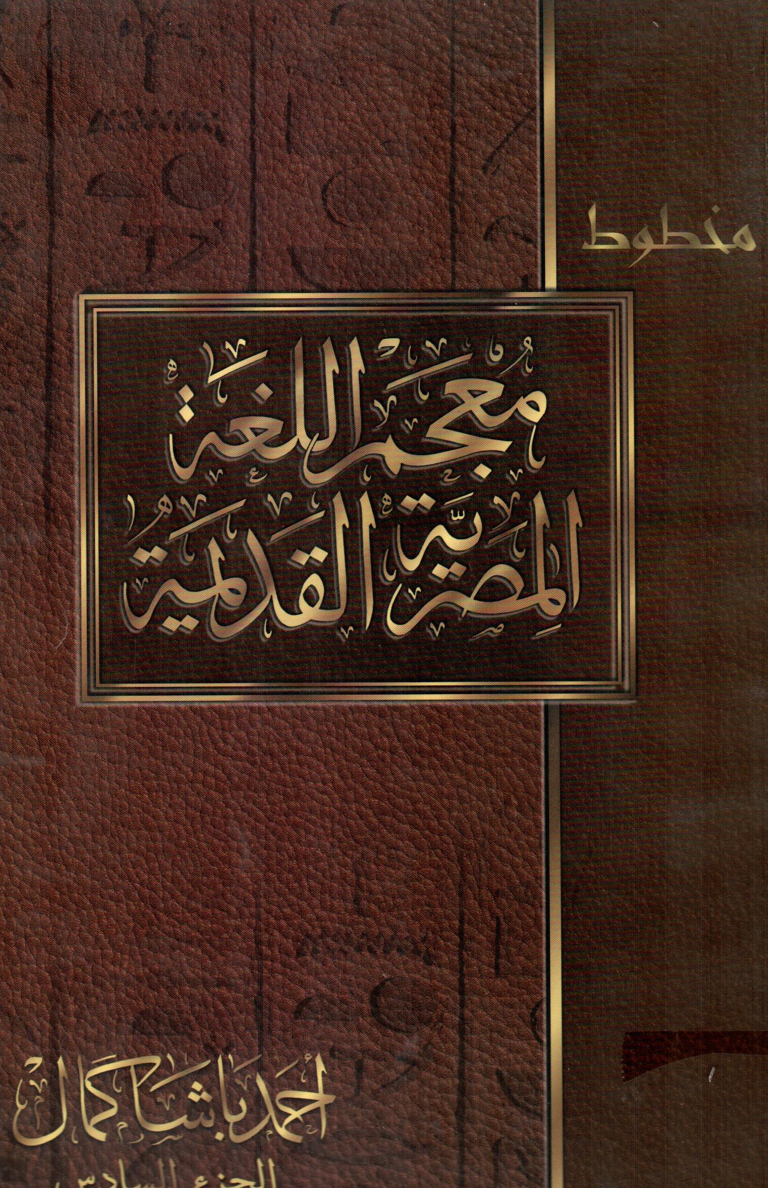 معجم اللغة المصرية القديمة(الجزء السادس)