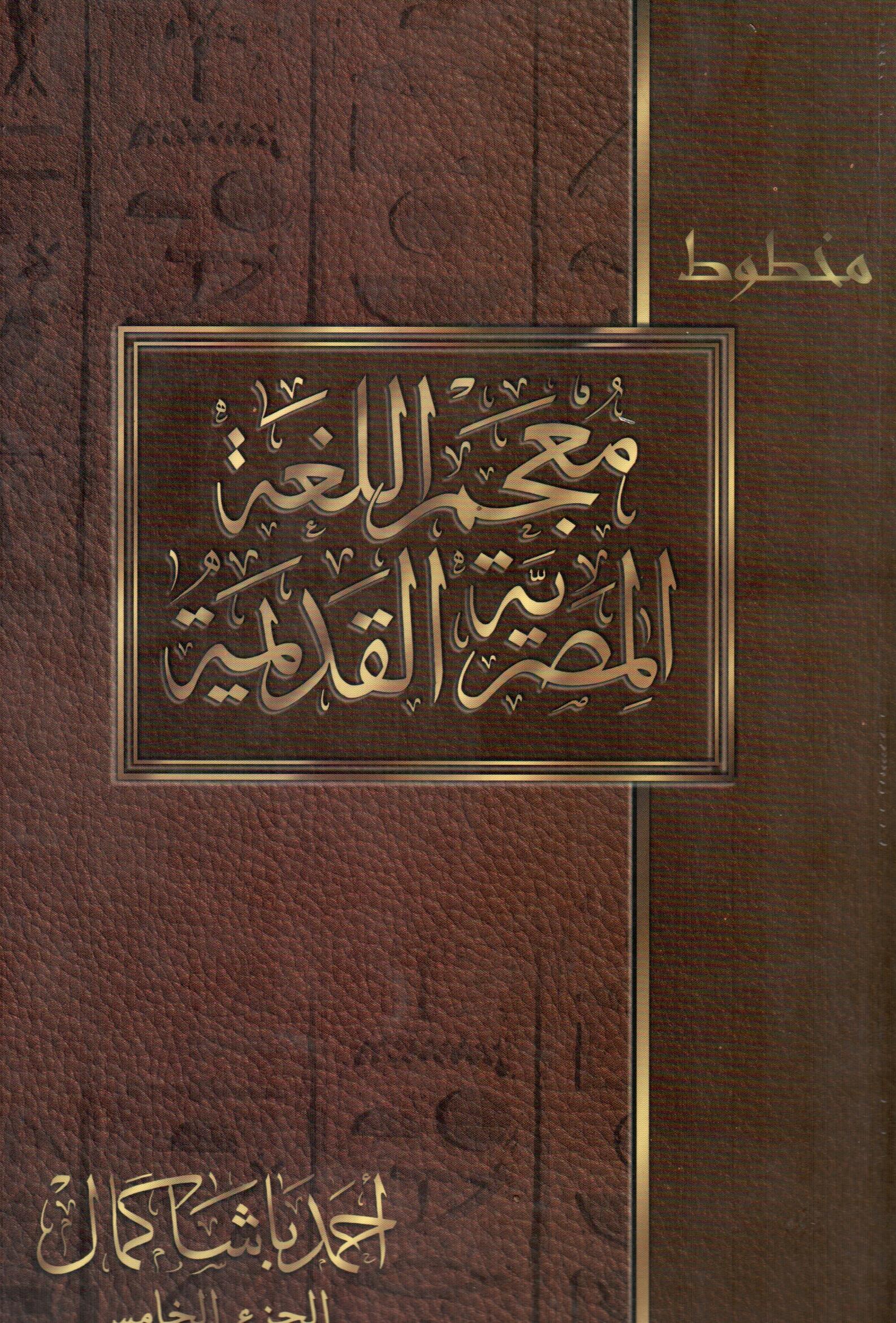 معجم اللغة المصرية القديمة(الجزء الخامس)