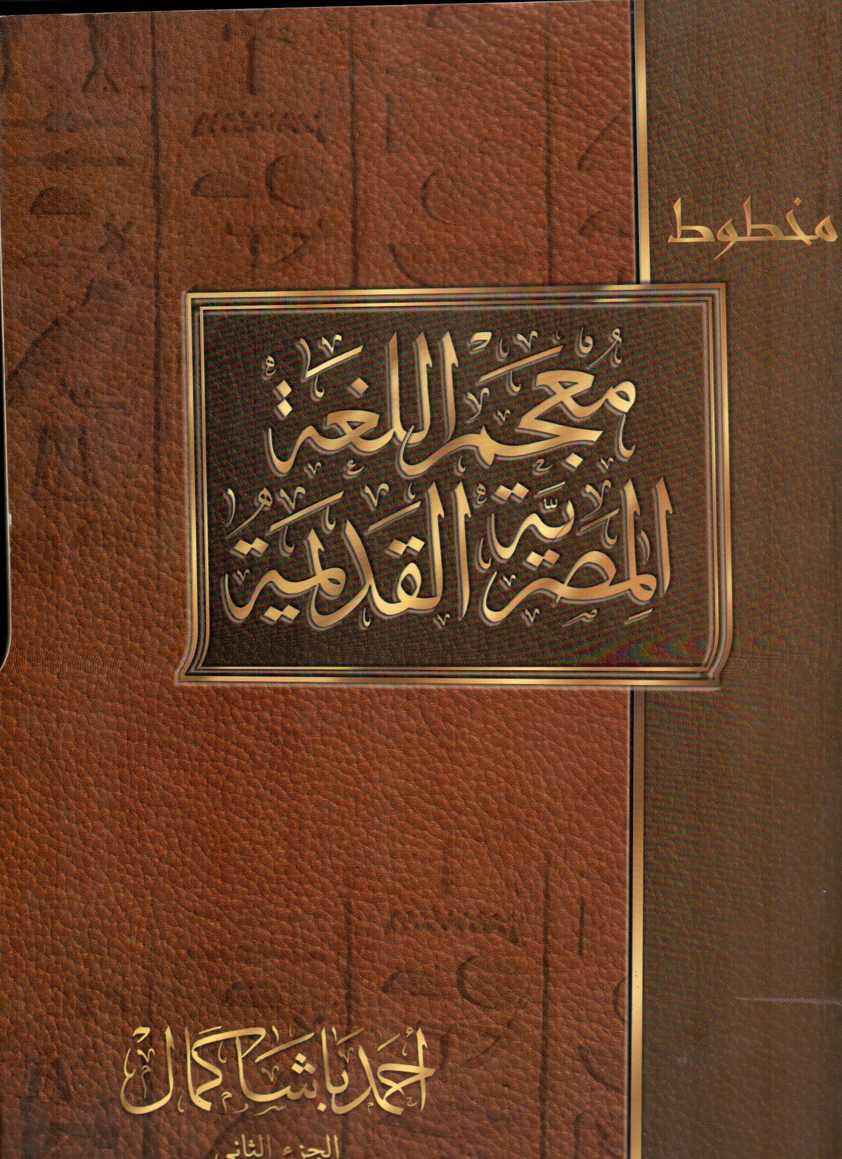 معجم اللغة المصرية القديمة(الجزء الثانى)