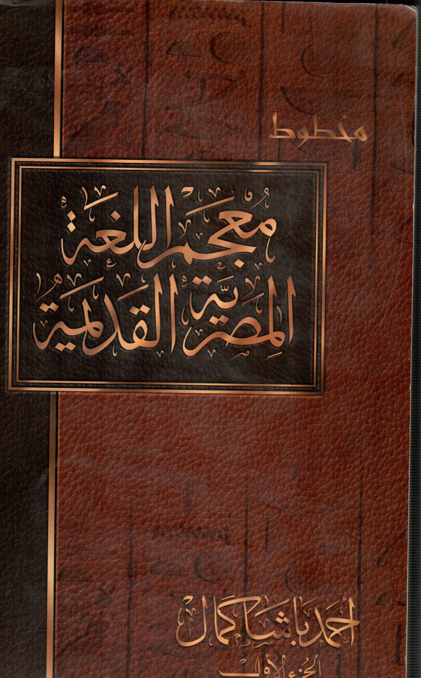 معجم اللغة المصرية القديمة(الجزء الأول)