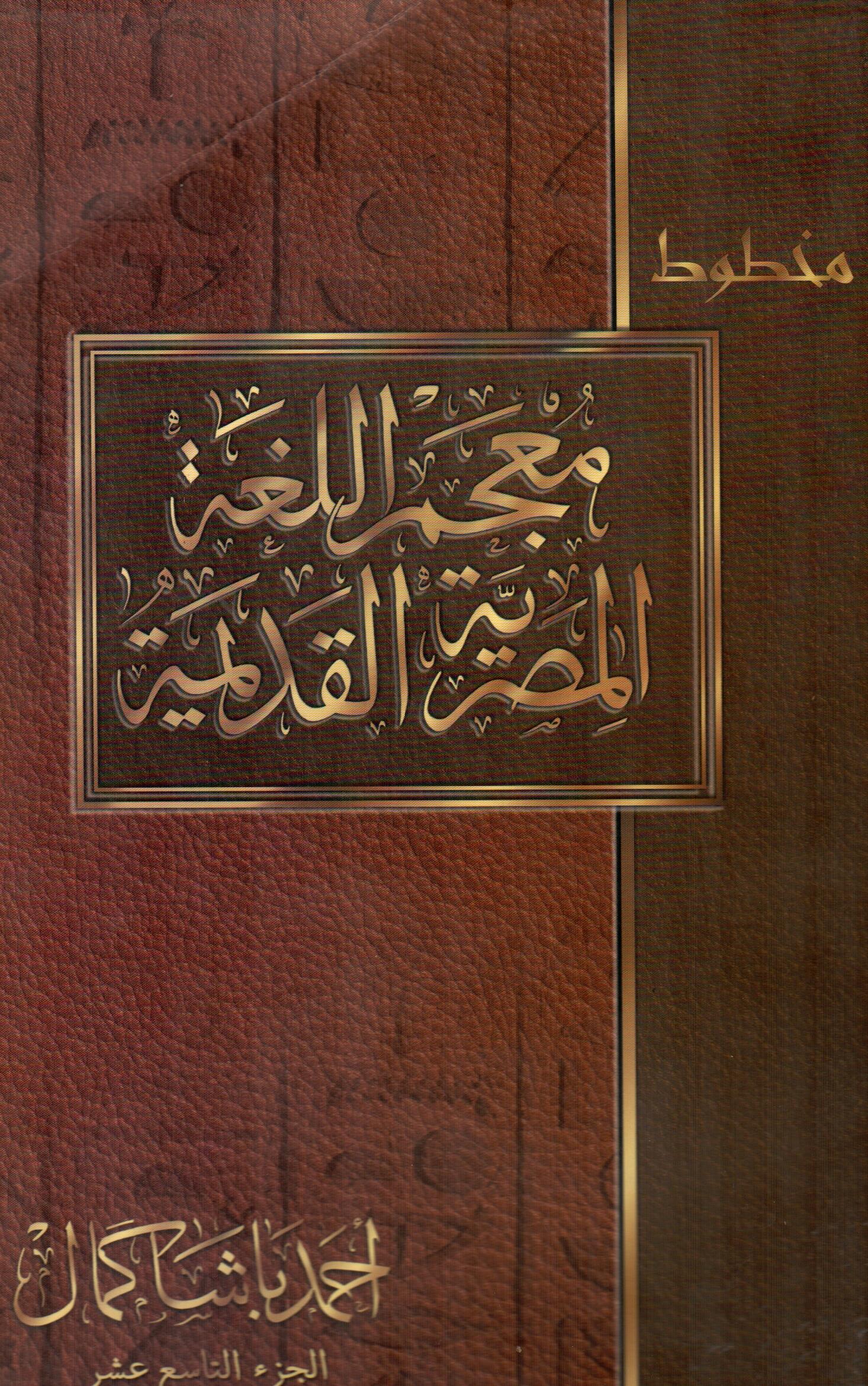 معجم اللغة المصرية القديمة(الجزء التاسع عشر)
