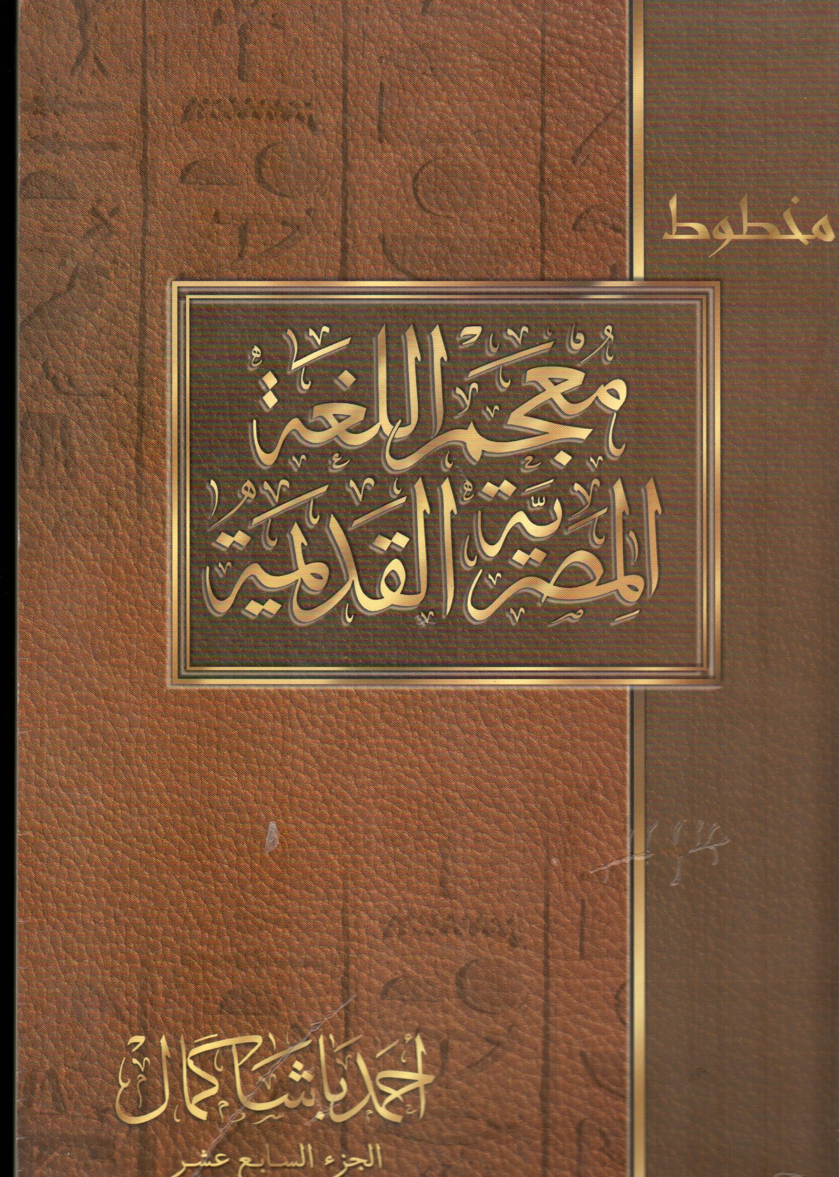 معجم اللغة المصرية القديمة(الجزء السابع عشر)
