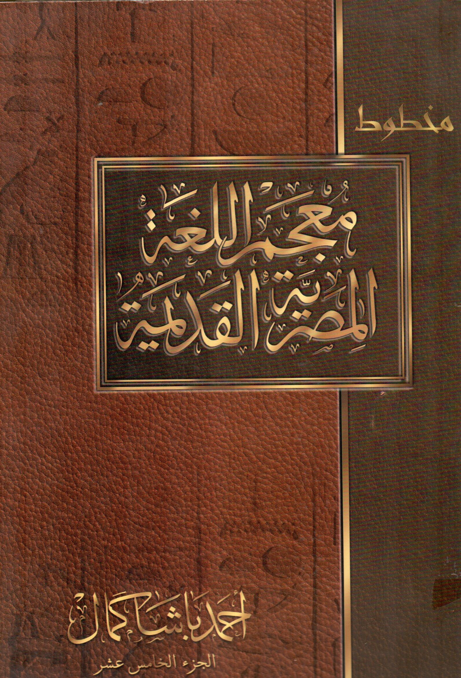 معجم اللغة المصرية القديمة(الجزء الخامس عشر)