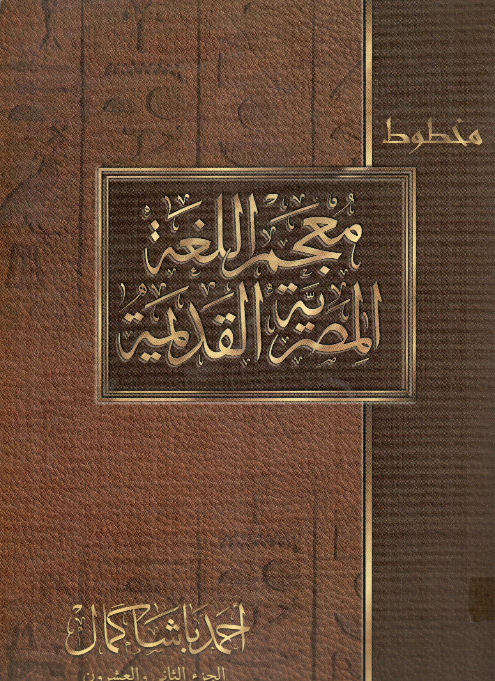 معجم اللغة المصرية القديمة ( الجزء الثانى والعشرون )