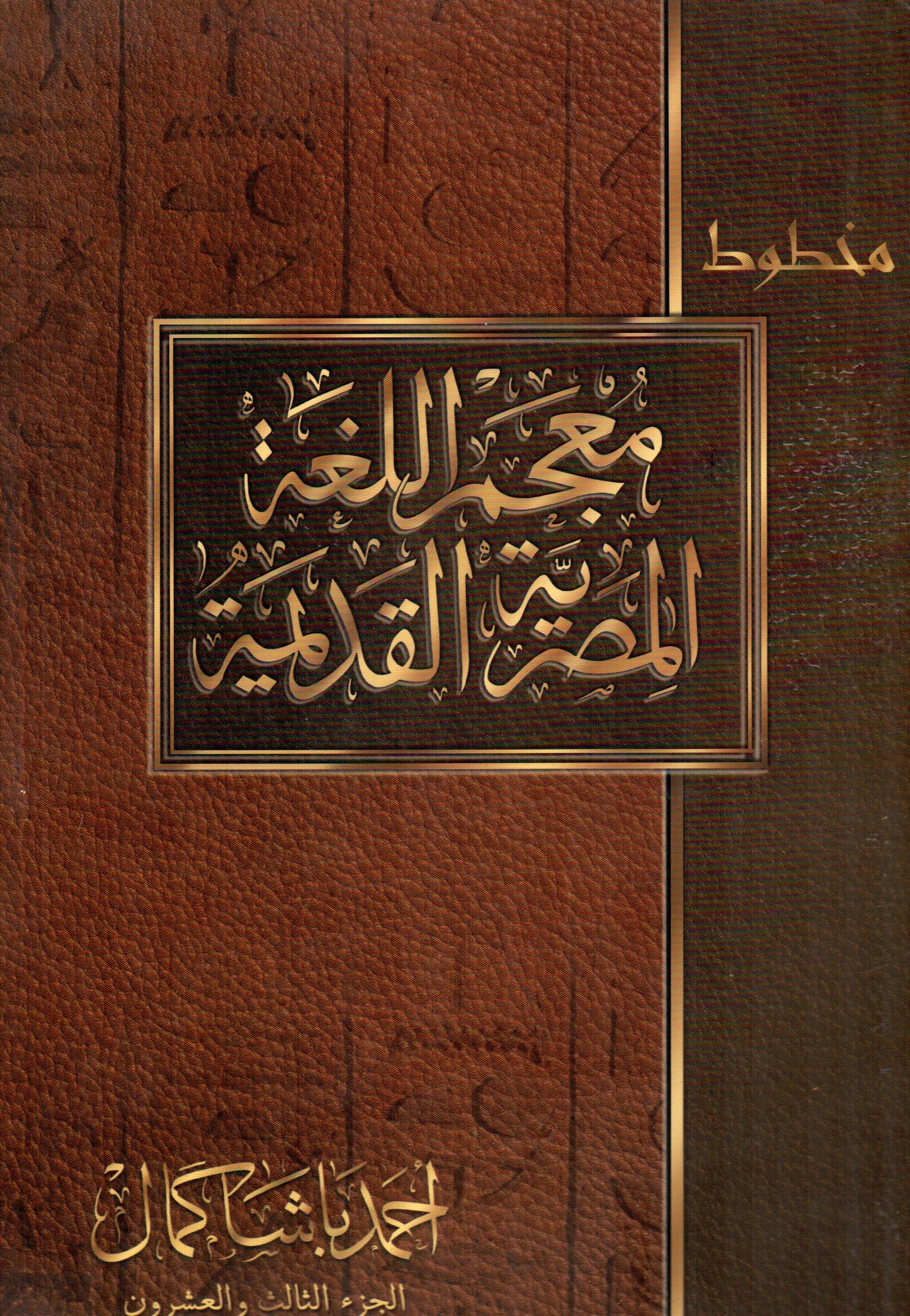معجم اللغة المصرية القديمة ( الجزء الثالث والعشرون )