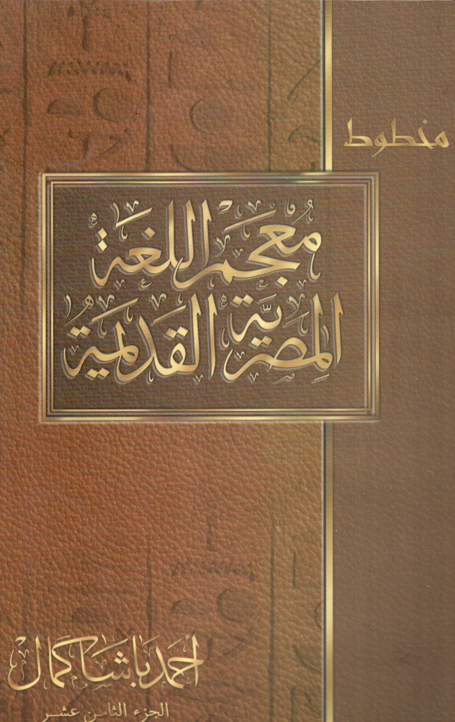 معجم اللغة المصرية القديمة ( الجزء الثامن عشر )
