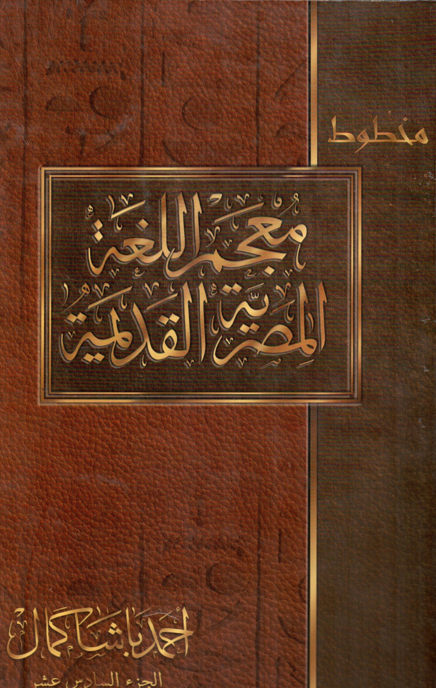 معجم اللغة المصرية القديمة ( الجزء السادس عشر )
