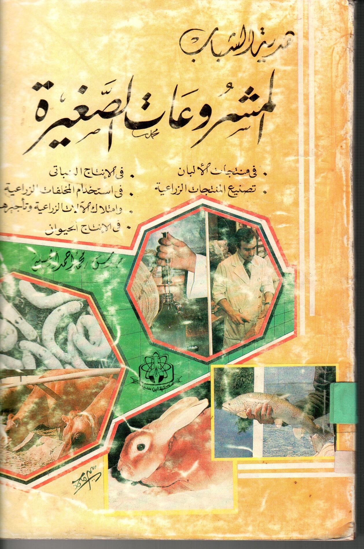 المشروعات الصغيرة