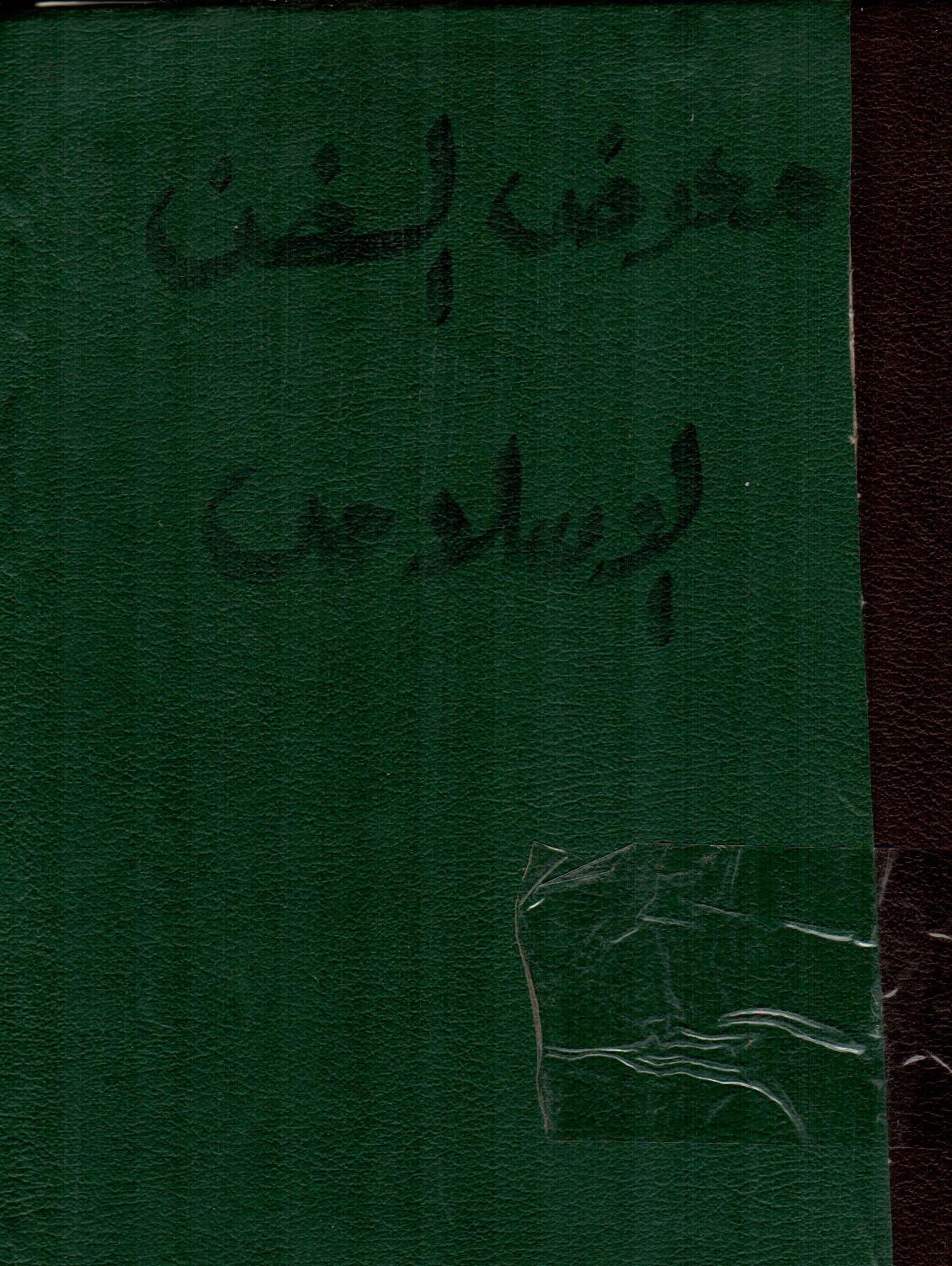 الفن الاسلامى فى مصر