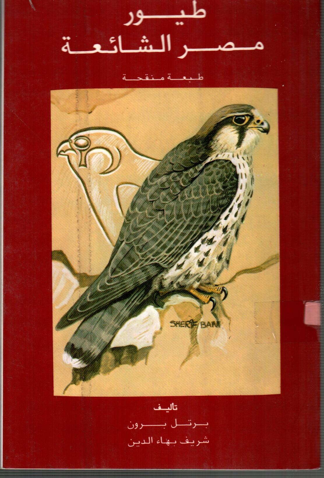 طيور مصر الشائعة