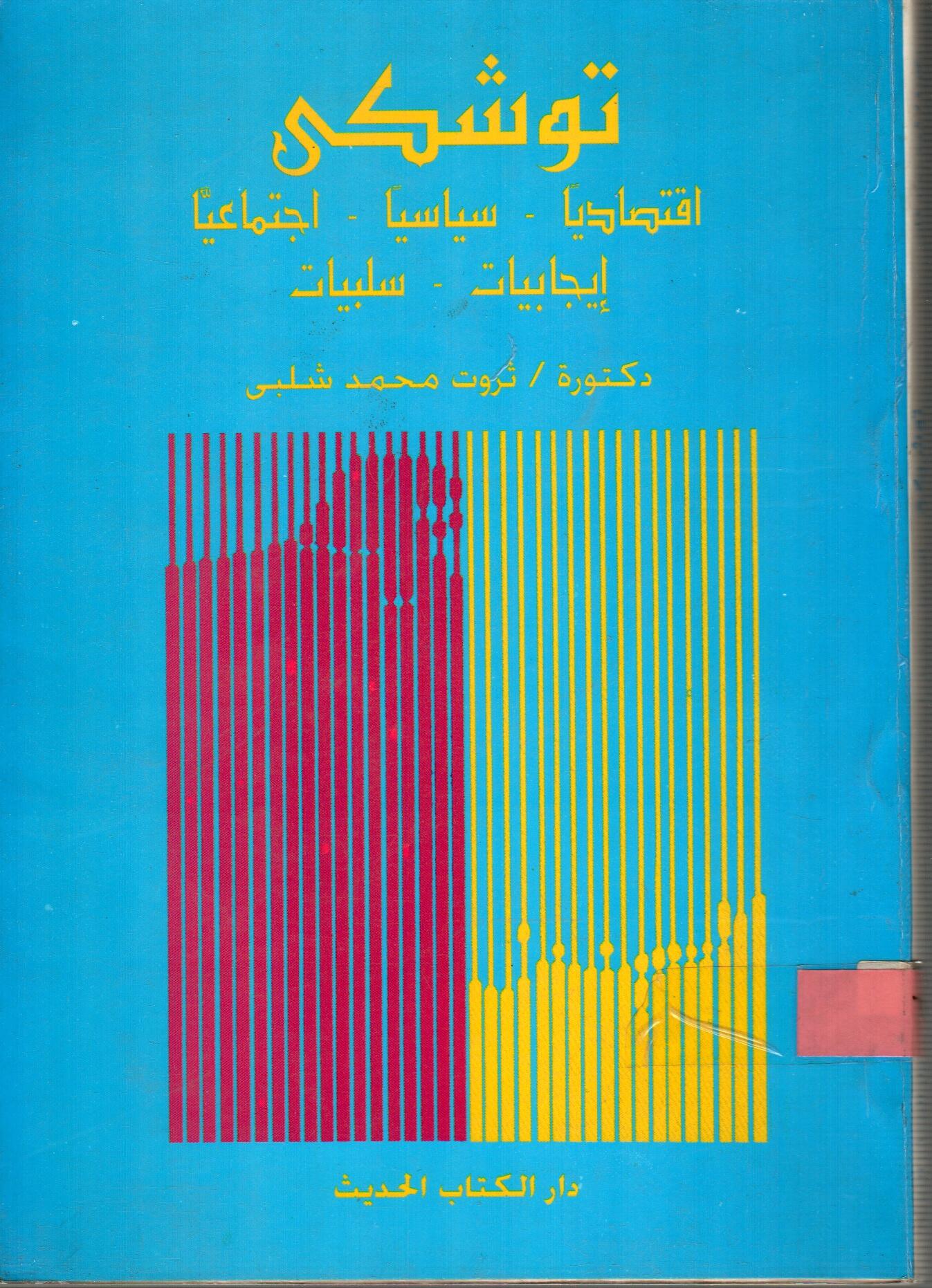 توشكى ( اقتصاديا - سياسيا )